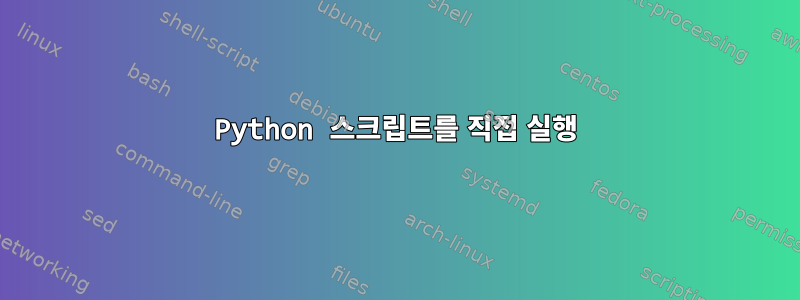 Python 스크립트를 직접 실행