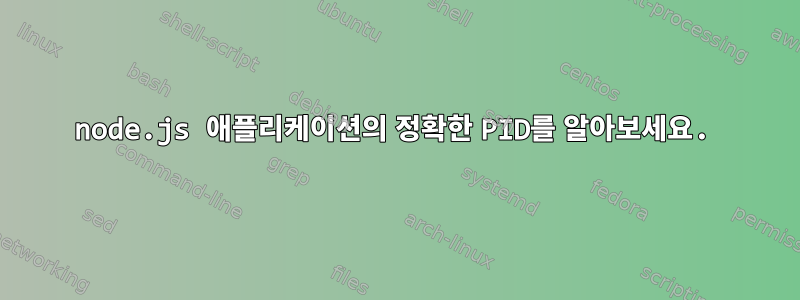 node.js 애플리케이션의 정확한 PID를 알아보세요.