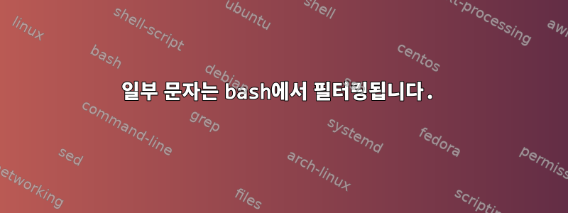 일부 문자는 bash에서 필터링됩니다.