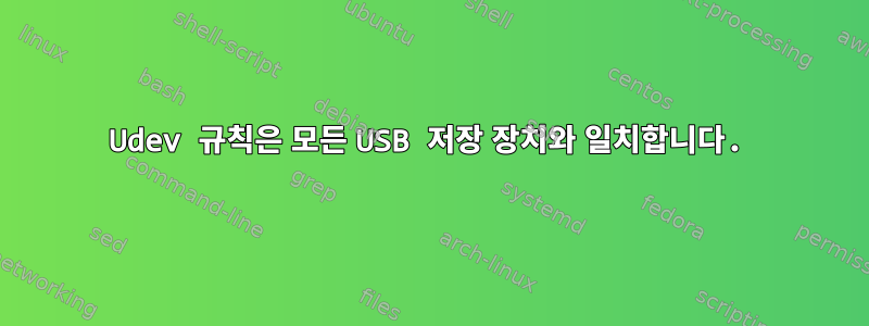 Udev 규칙은 모든 USB 저장 장치와 일치합니다.