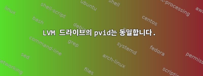 LVM 드라이브의 pvid는 동일합니다.