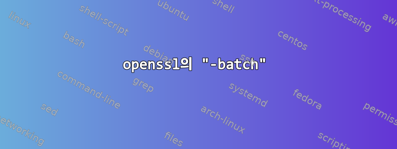 openssl의 "-batch"