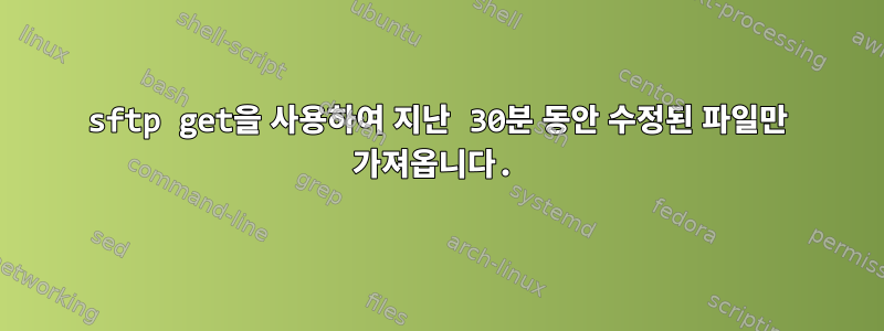 sftp get을 사용하여 지난 30분 동안 수정된 파일만 가져옵니다.