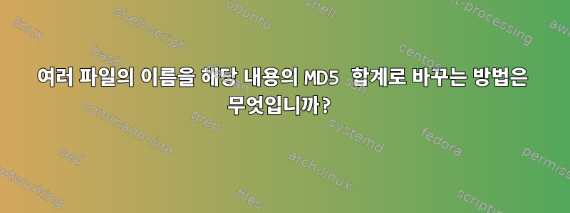 여러 파일의 이름을 해당 내용의 MD5 합계로 바꾸는 방법은 무엇입니까?