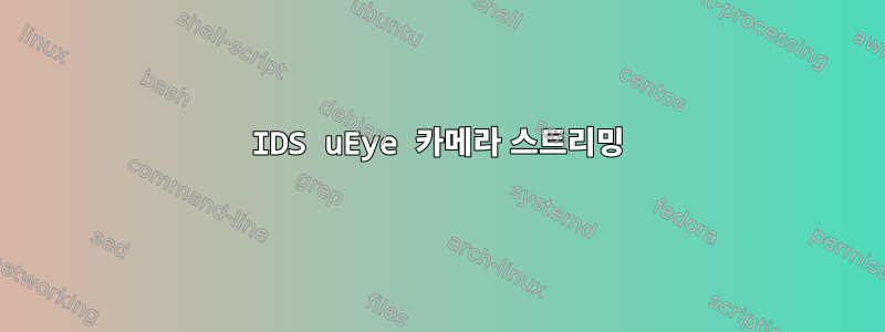 IDS uEye 카메라 스트리밍