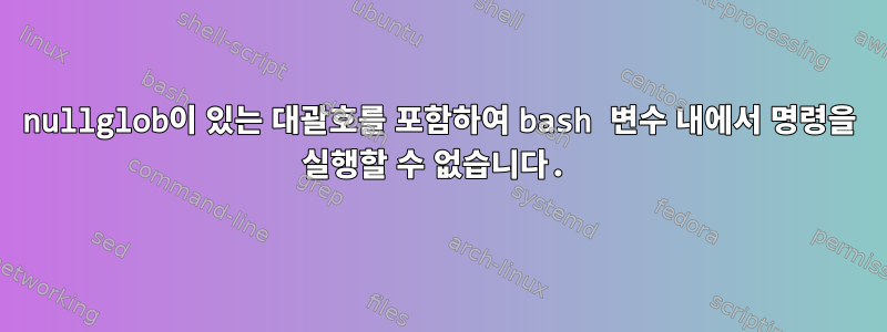 nullglob이 있는 대괄호를 포함하여 bash 변수 내에서 명령을 실행할 수 없습니다.