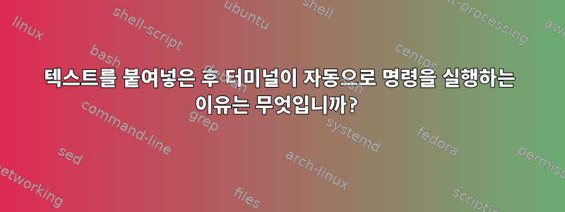 텍스트를 붙여넣은 후 터미널이 자동으로 명령을 실행하는 이유는 무엇입니까?