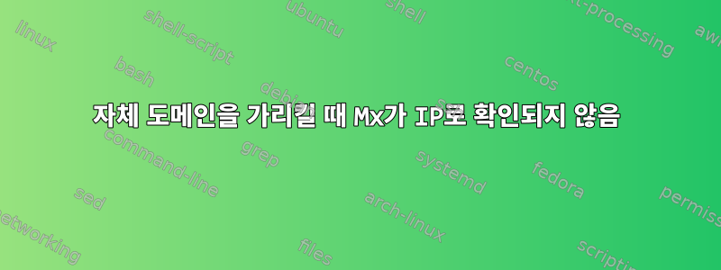 자체 도메인을 가리킬 때 Mx가 IP로 확인되지 않음