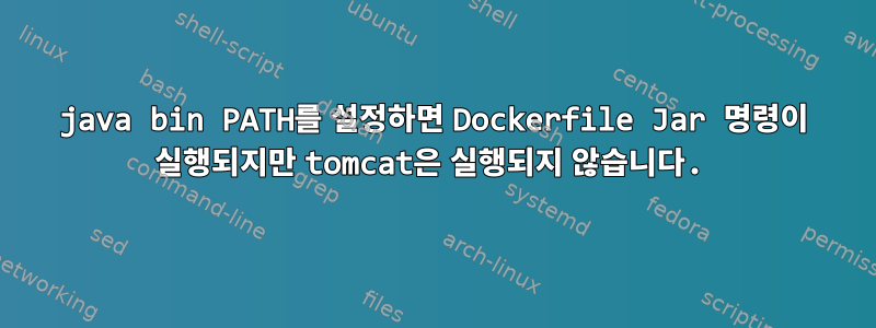 java bin PATH를 설정하면 Dockerfile Jar 명령이 실행되지만 tomcat은 실행되지 않습니다.