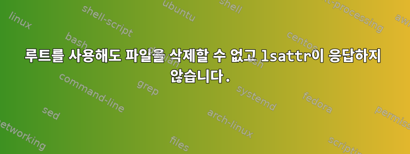 루트를 사용해도 파일을 삭제할 수 없고 lsattr이 응답하지 않습니다.