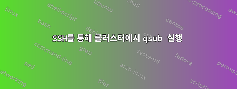 SSH를 통해 클러스터에서 qsub 실행