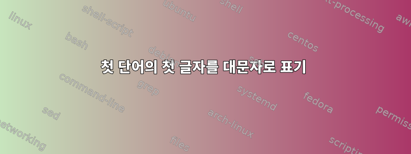 첫 단어의 첫 글자를 대문자로 표기