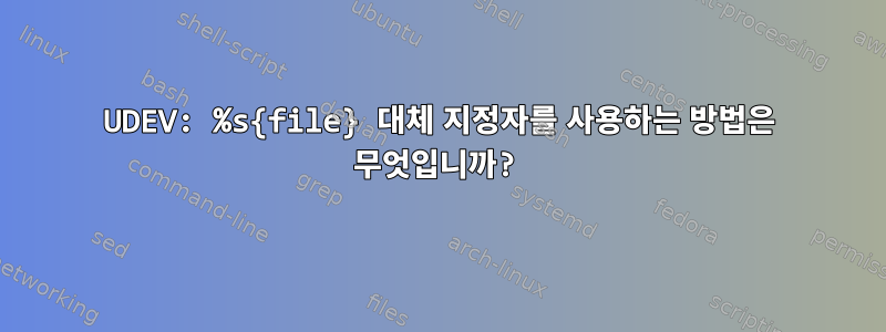 UDEV: %s{file} 대체 지정자를 사용하는 방법은 무엇입니까?