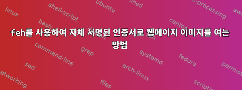 feh를 사용하여 자체 서명된 인증서로 웹페이지 이미지를 여는 방법