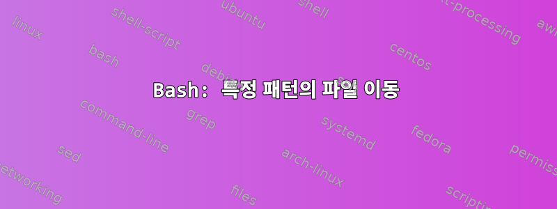 Bash: 특정 패턴의 파일 이동