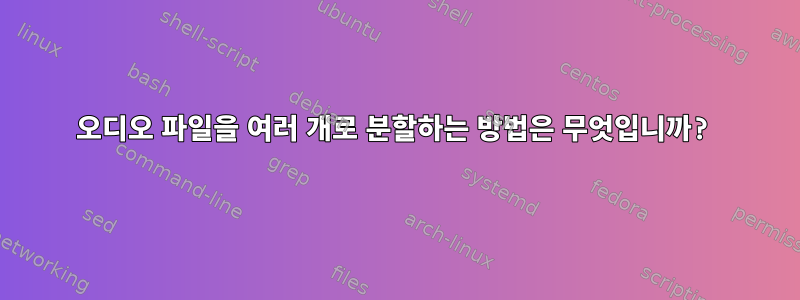 오디오 파일을 여러 개로 분할하는 방법은 무엇입니까?