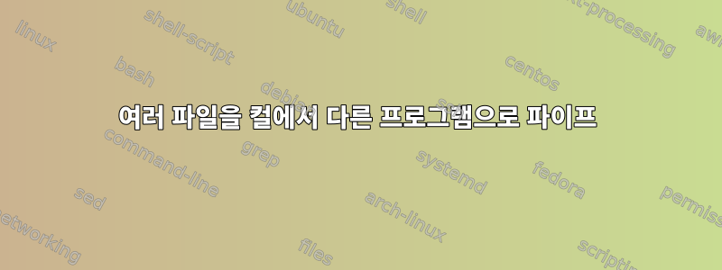 여러 파일을 컬에서 다른 프로그램으로 파이프