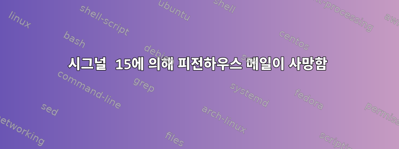 시그널 15에 의해 피전하우스 메일이 사망함