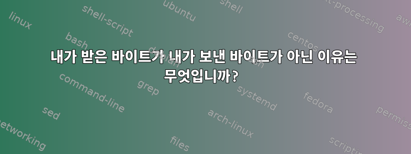 내가 받은 바이트가 내가 보낸 바이트가 아닌 이유는 무엇입니까?