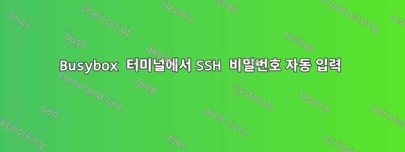 Busybox 터미널에서 SSH 비밀번호 자동 입력