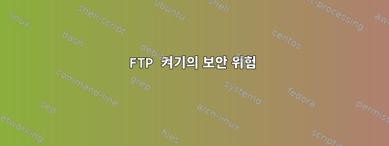 FTP 켜기의 보안 위험