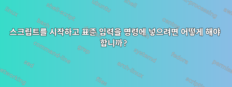 스크립트를 시작하고 표준 입력을 명령에 넣으려면 어떻게 해야 합니까?