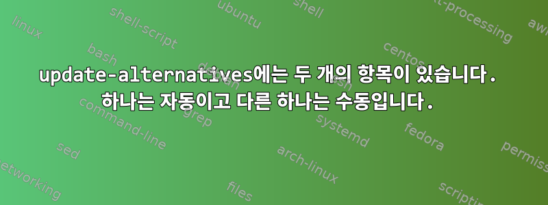 update-alternatives에는 두 개의 항목이 있습니다. 하나는 자동이고 다른 하나는 수동입니다.