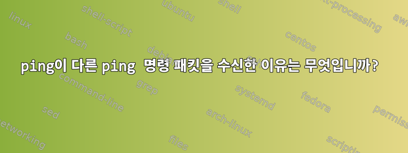 ping이 다른 ping 명령 패킷을 수신한 이유는 무엇입니까?