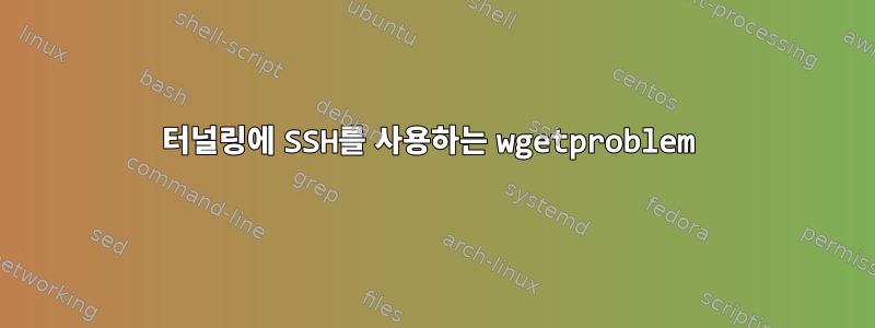 터널링에 SSH를 사용하는 wgetproblem