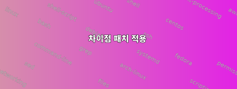 차이점 패치 적용