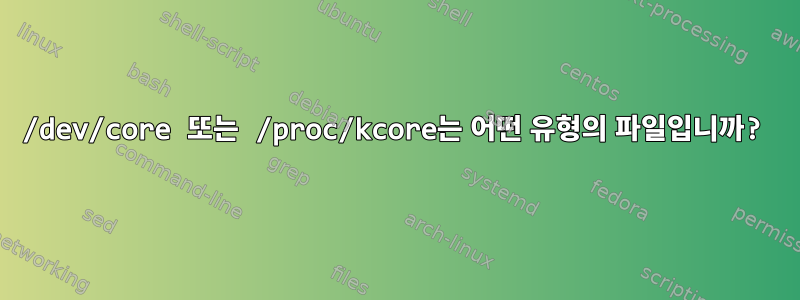 /dev/core 또는 /proc/kcore는 어떤 유형의 파일입니까?