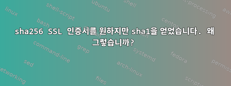 sha256 SSL 인증서를 원하지만 sha1을 얻었습니다. 왜 그렇습니까?