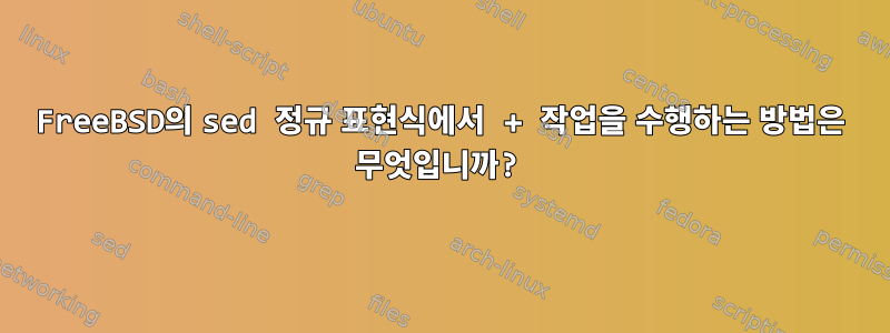 FreeBSD의 sed 정규 표현식에서 + 작업을 수행하는 방법은 무엇입니까?