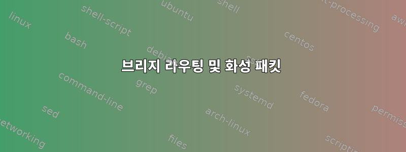 브리지 라우팅 및 화성 패킷