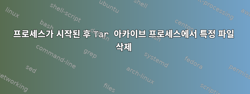 프로세스가 시작된 후 Tar 아카이브 프로세스에서 특정 파일 삭제