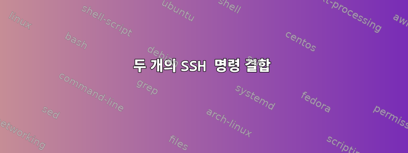 두 개의 SSH 명령 결합