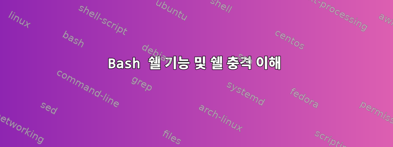 Bash 쉘 기능 및 쉘 충격 이해