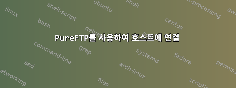 PureFTP를 사용하여 호스트에 연결