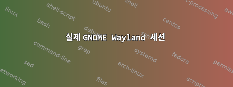 실제 GNOME Wayland 세션