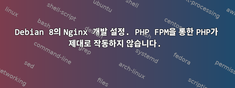 Debian 8의 Nginx 개발 설정. PHP FPM을 통한 PHP가 제대로 작동하지 않습니다.