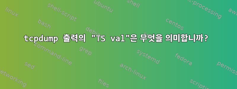 tcpdump 출력의 "TS val"은 무엇을 의미합니까?