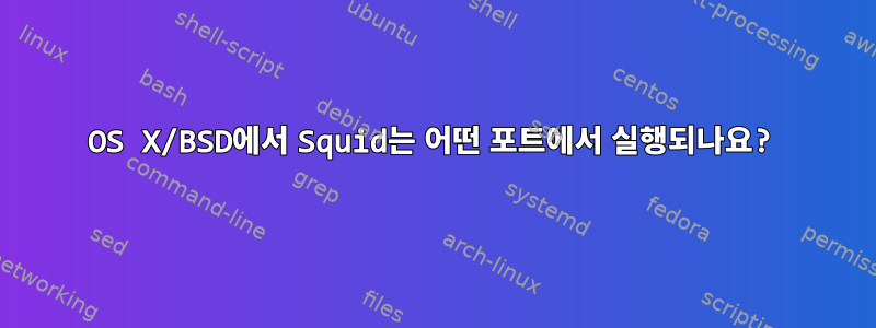 OS X/BSD에서 Squid는 어떤 포트에서 실행되나요?