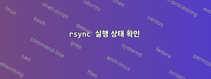 rsync 실행 상태 확인