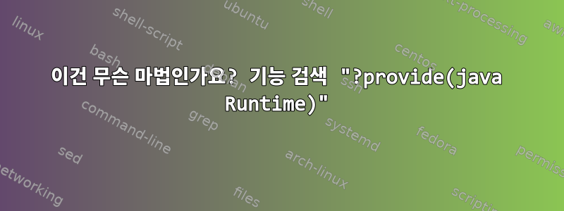 이건 무슨 마법인가요? 기능 검색 "?provide(java Runtime)"