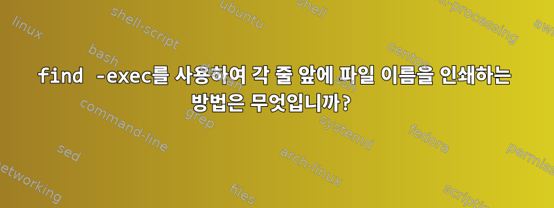 find -exec를 사용하여 각 줄 앞에 파일 이름을 인쇄하는 방법은 무엇입니까?