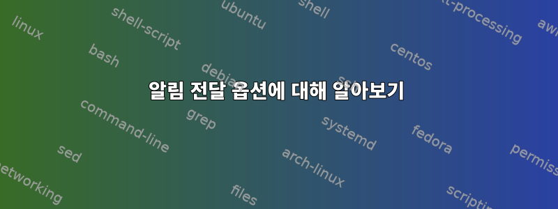 알림 전달 옵션에 대해 알아보기