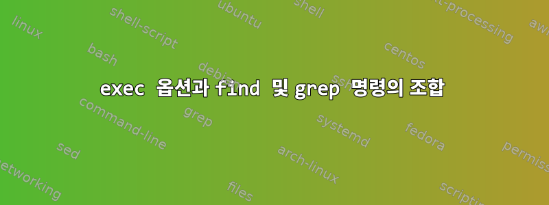 exec 옵션과 find 및 grep 명령의 조합