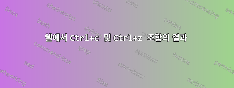 쉘에서 Ctrl+c 및 Ctrl+z 조합의 결과