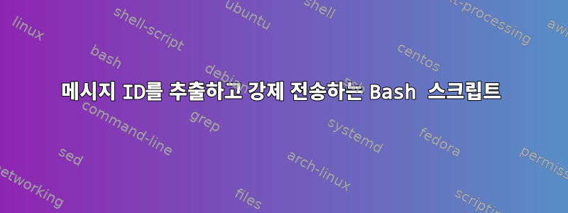 메시지 ID를 추출하고 강제 전송하는 Bash 스크립트