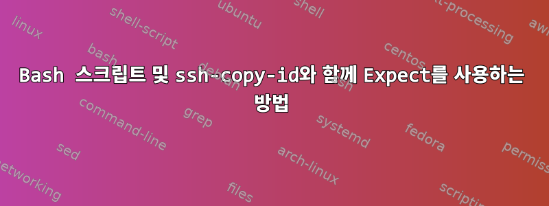 Bash 스크립트 및 ssh-copy-id와 함께 Expect를 사용하는 방법